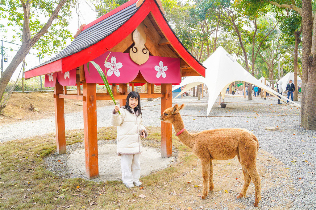 咩咩上樹萌寵樂園(高低空探索)