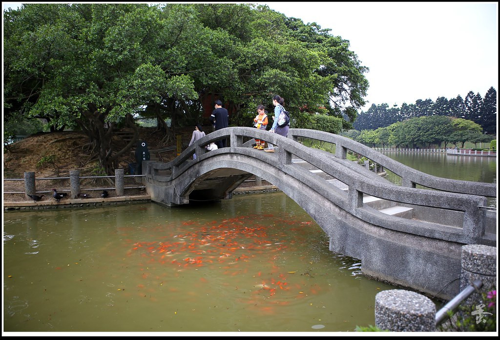 國立體育大學