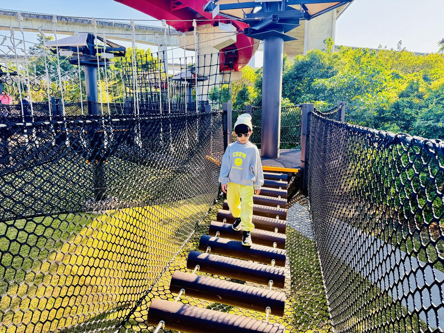 平鎮運動公園遊戲場(特色遊戲場)(高低空探索)