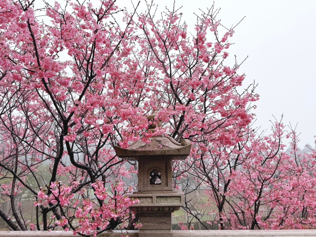 竹林山觀音寺公園(竹林山寺公園)(共融遊戲場)