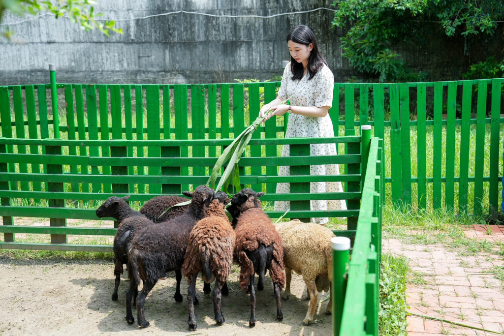亞力山大蝴蝶生態教育農場 亞力山大蝴蝶生態教育農場
