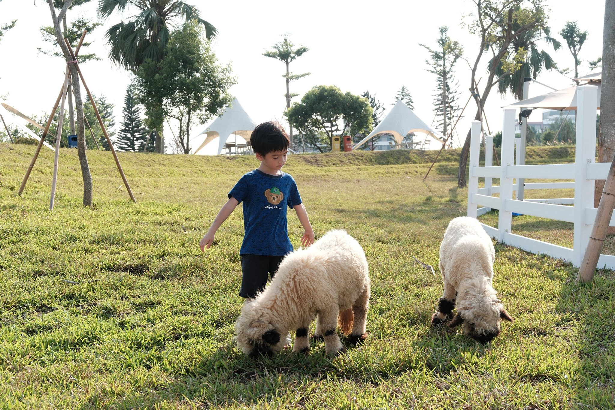 美樂地親子農場(2026/01/22前門票優惠199元)