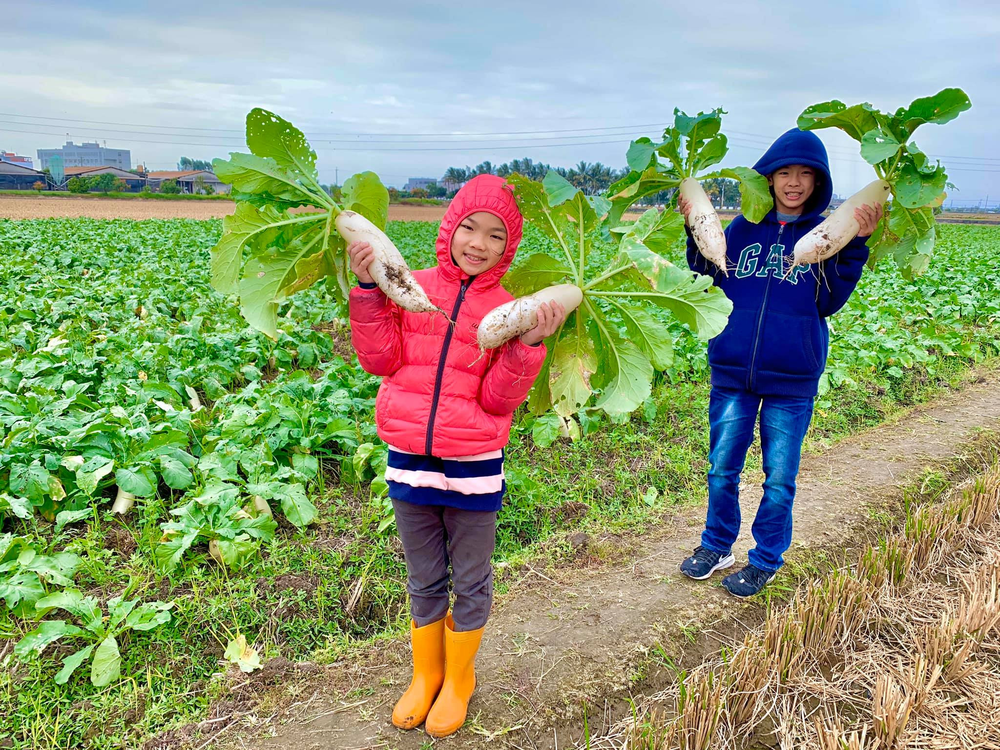 林爸爸蘿蔔園