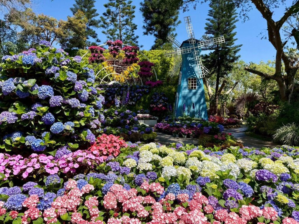 花露農場Flower Home(精油博物館) 花露農場Flower Home(精油博物館)