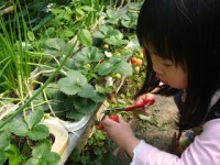 野草花果農場 台北 Abic愛貝客親子遊